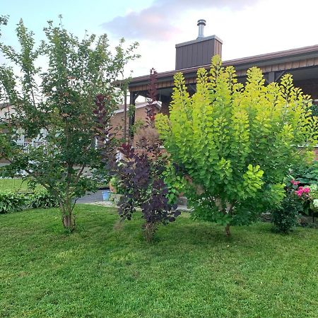 Havre Chez Guylaine Apartment Laval Luaran gambar